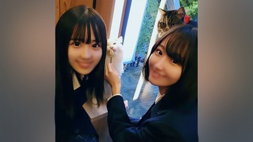 FC2PPV-2477518 Hai em sinh viên girl xinh chính thống được đưa vào phòng kín để dâm đãng... Bắn tinh vào âm đạo 3P trong cơ thể trắng muốt đang phát triển!