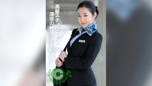 PYU-377 Black-haired stewardess: Midnight orgasm flight