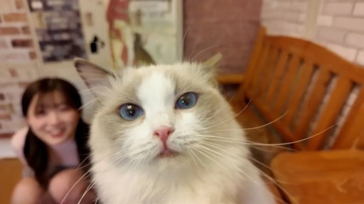 FC2PPV-4511406 Too cute! Super rare! She was crazy about the cats on a date at a cat cafe. 