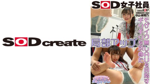 107SHYN-199 SOD女子社員 モザイクギリギリを目指してワギナグイ込み生着替えさセクハラ 営業部 新卒1年目 中山緋南乃